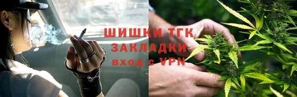 бошки Белокуриха