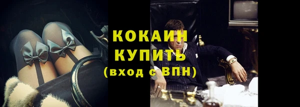 бошки Белокуриха