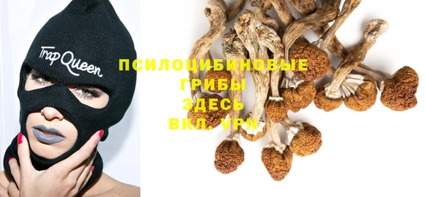 бошки Белокуриха