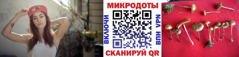 Псилоцибиновые грибы Psilocybine cubensis где купить наркотик Мончегорск