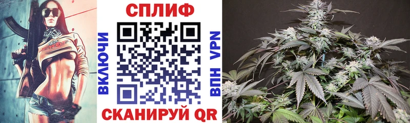 omg tor  купить   Мончегорск  Марихуана THC 21% 